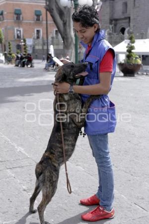 CARRERA CANINA . KARINA ROMERO