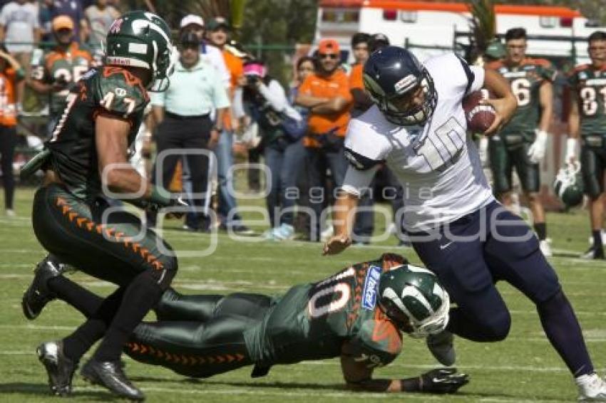 FINAL AMERICANO . AZTECAS VS TEC TOLUCA