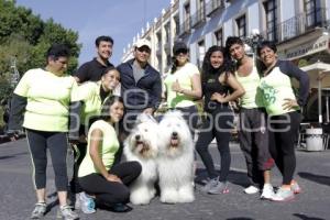 CARRERA MARCANDO HUELLAS