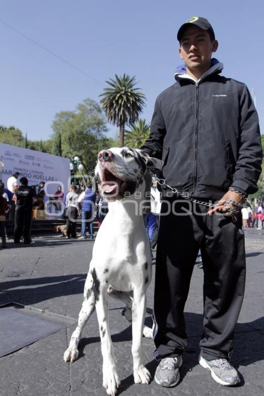 CARRERA MARCANDO HUELLAS