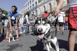 CARRERA MARCANDO HUELLAS