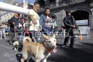 CARRERA MARCANDO HUELLAS