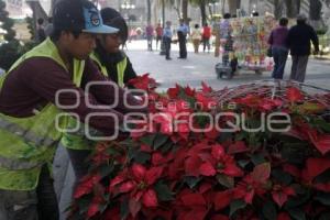 ADORNOS NAVIDEÑOS . ZÓCALO