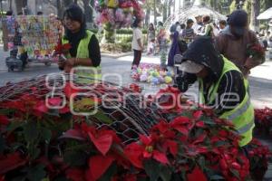 ADORNOS NAVIDEÑOS . ZÓCALO