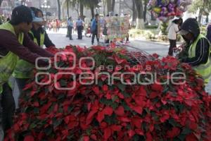 ADORNOS NAVIDEÑOS . ZÓCALO