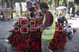 ADORNOS NAVIDEÑOS . ZÓCALO