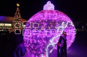 ENCENDIDO DEL ÁRBOL NAVIDEÑO