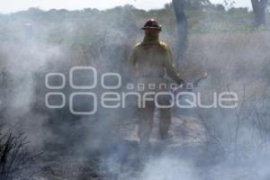 BRIGADA CONTRA INCENDIOS . TEHUACÁN