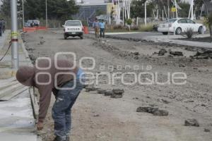 PAVIMENTACIÓN OSA MAYOR