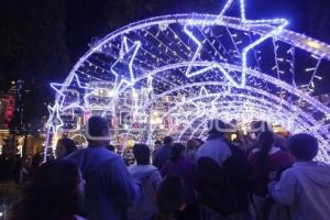 ENCENDIDO DEL ÁRBOL NAVIDEÑO