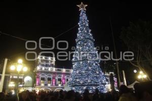 ENCENDIDO DEL ÁRBOL NAVIDEÑO