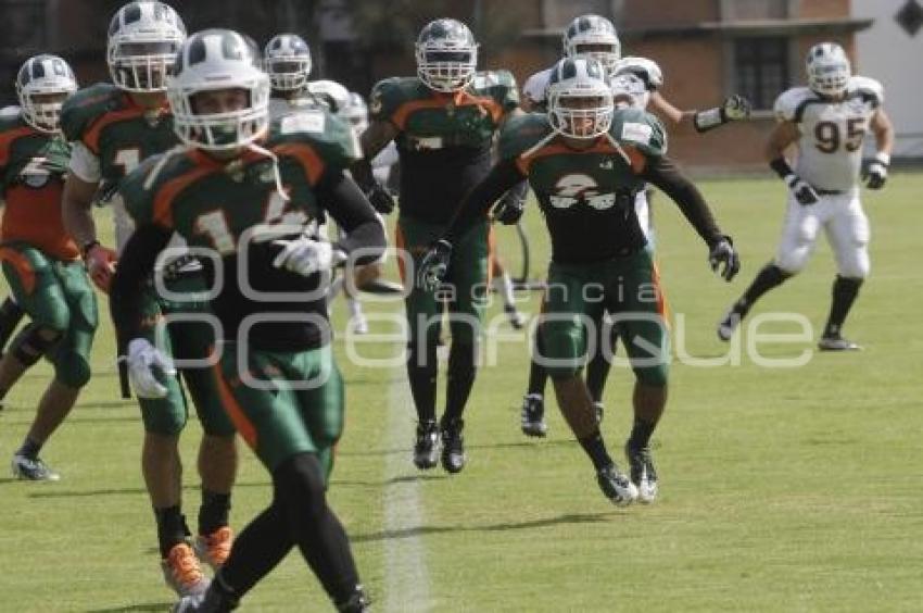 ENTRENAMIENTO ESTRELLAS CONADEIP