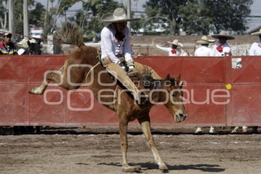 TRADICIÓN MEXICANA 2014