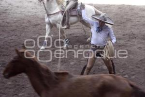 TRADICIÓN MEXICANA 2014