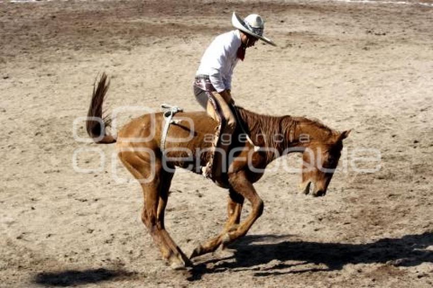 TRADICIÓN MEXICANA 2014