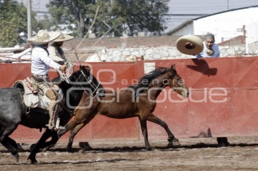 TRADICIÓN MEXICANA 2014