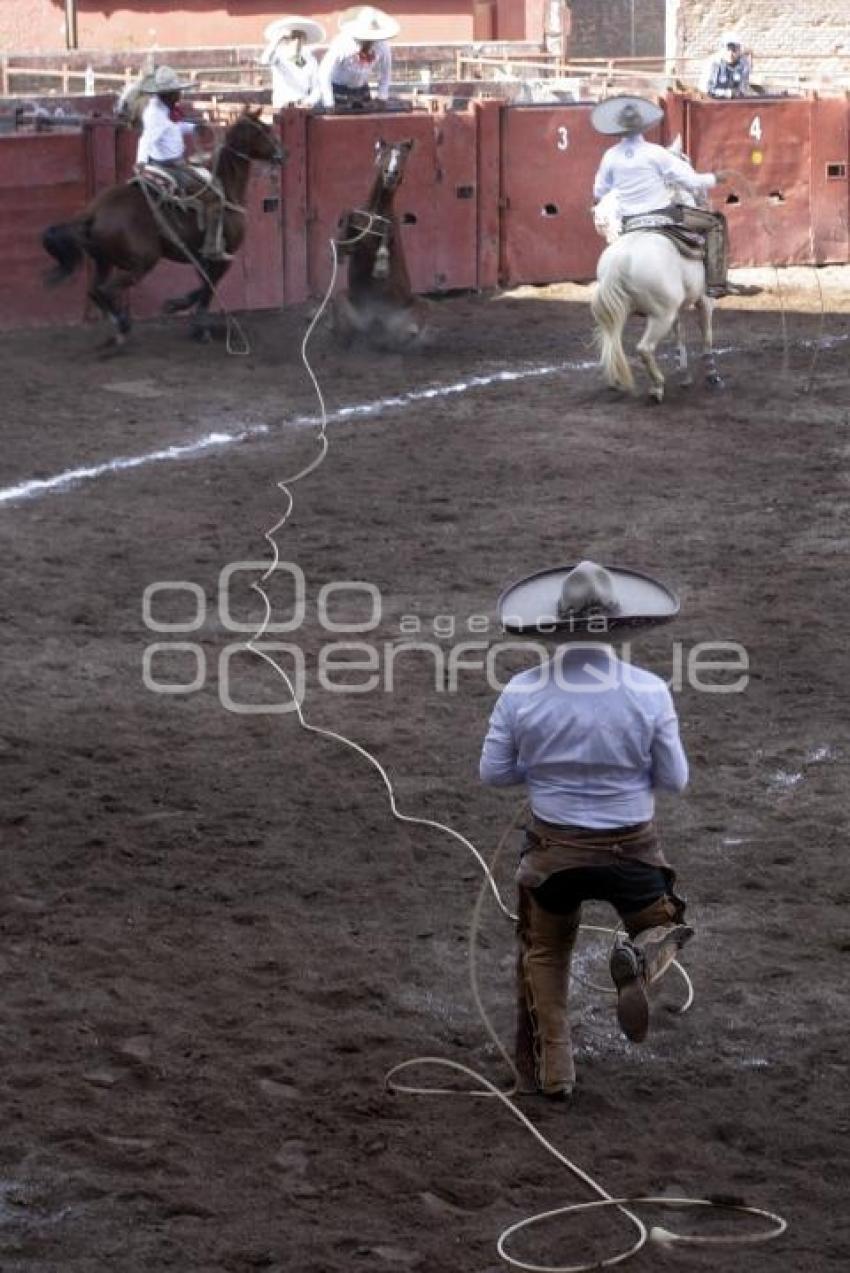 TRADICIÓN MEXICANA 2014