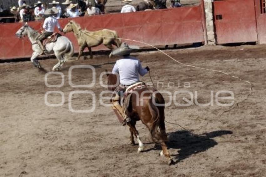 TRADICIÓN MEXICANA 2014