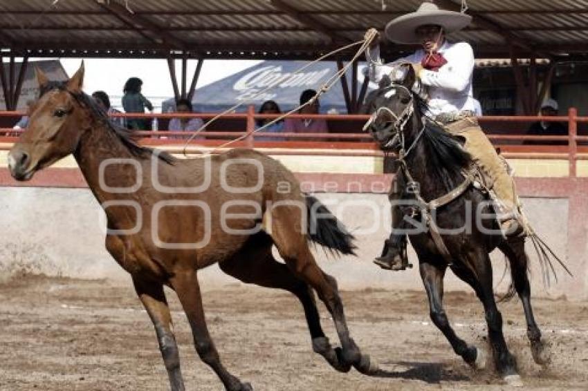 TRADICIÓN MEXICANA 2014