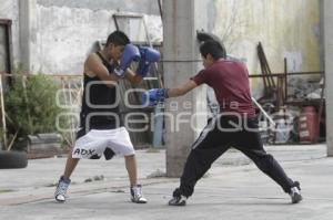 ENTRENAMIENTO DE BOX