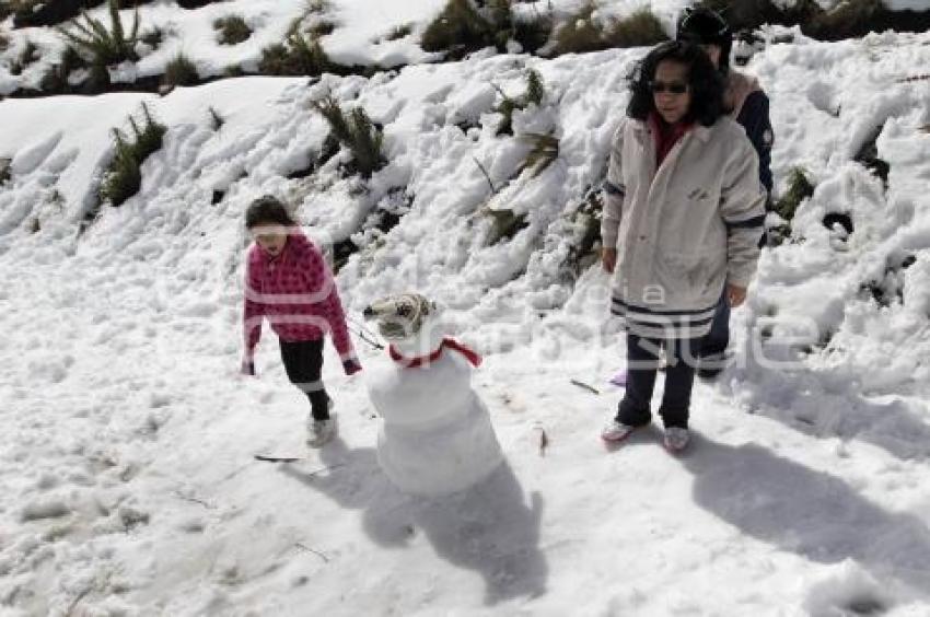 NEVADA EN LOS VOLCANES