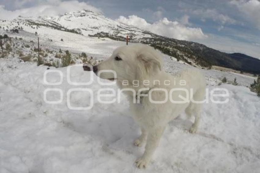 NEVADA EN LOS VOLCANES