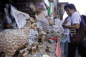 AMULETOS . AÑO NUEVO