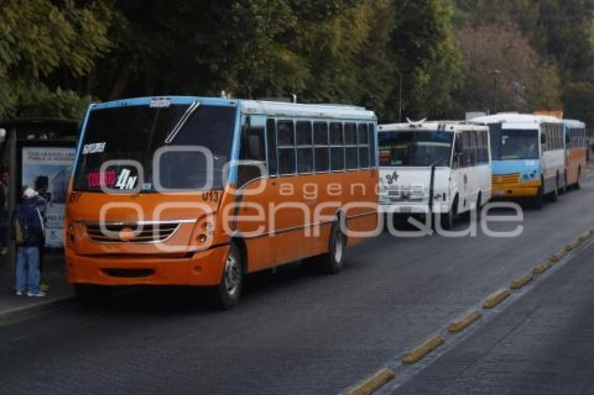 TRANSPORTE 11 SUR