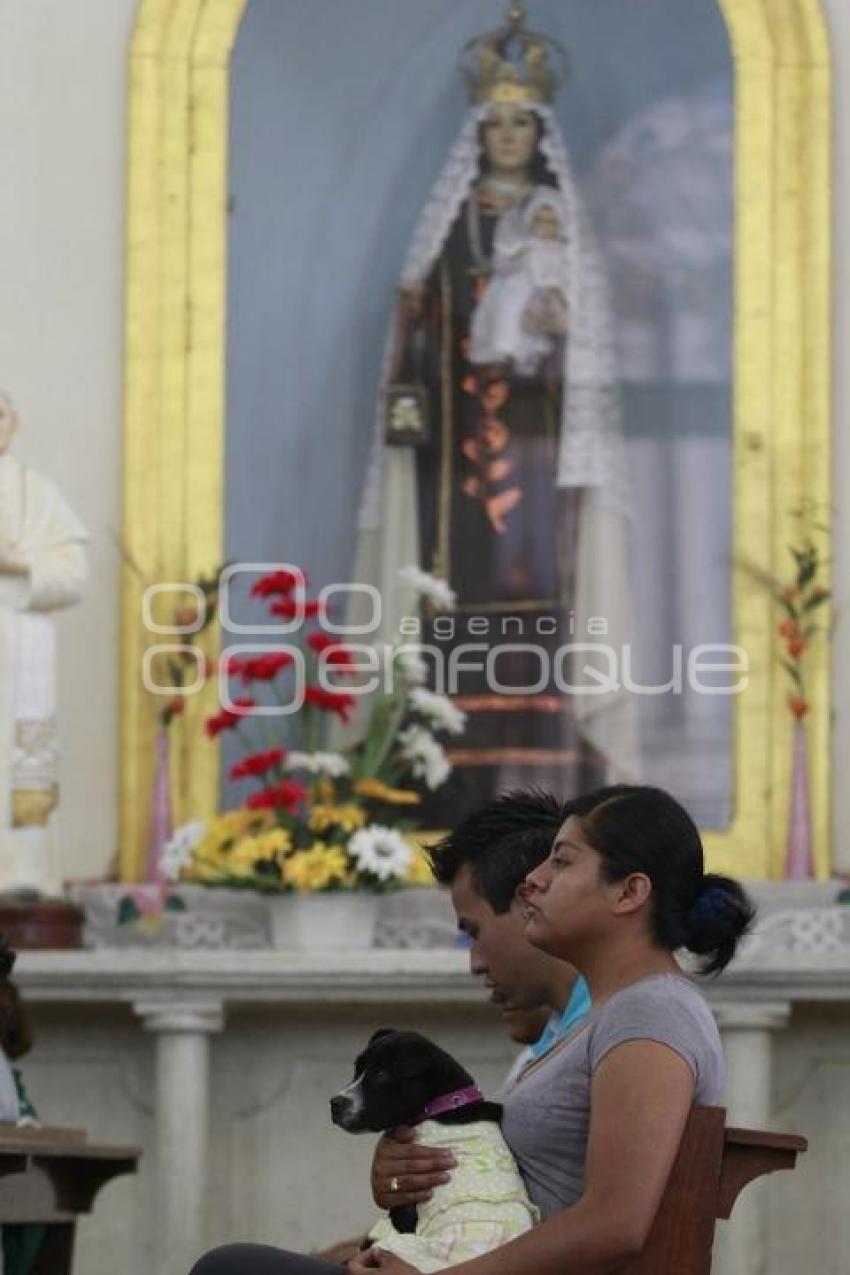 BENDICIÓN DE MASCOTAS