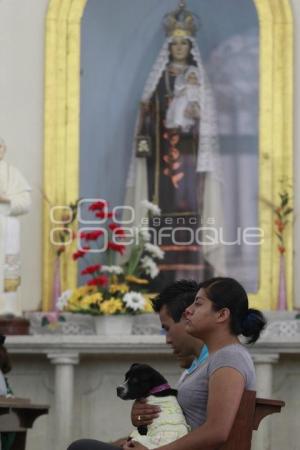 BENDICIÓN DE MASCOTAS