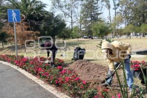 PARQUE PASEO DEL TELEFÉRICO