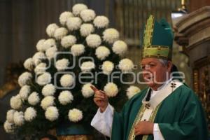 MISA DOMINICAL . CATEDRAL