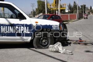 MUNICIPIOS . PATRULLA ATROPELLA CICLISTA