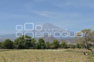 VOLCÁN POPOCATÉPETL . ATLIXCO