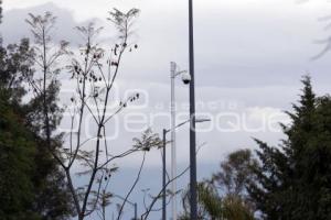 CÁMARAS VIGILANCIA  . PARQUE ECOLÓGICO