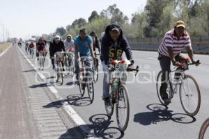 PEREGRINOS AUTOPISTA