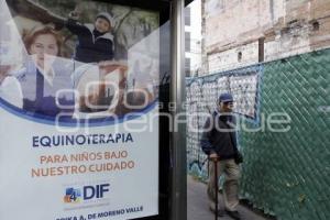 PUBLICIDAD INFORME MARTHA ÉRIKA ALONSO