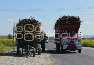 TRASLADO DE CAÑA