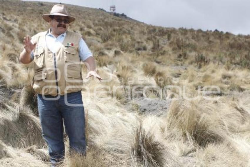 REFORESTACIÓ PARQUE IZTA POPO