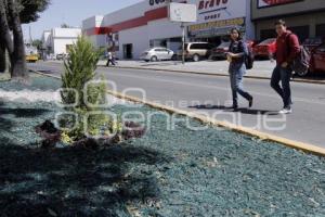 MULCH ORGÁNICO . AYUNTAMIENTO