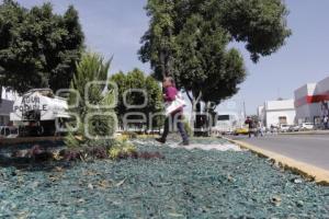 MULCH ORGÁNICO . AYUNTAMIENTO