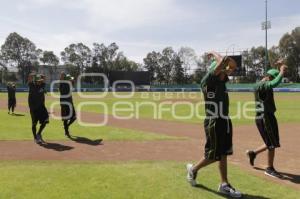 BEISBOL . PERICOS DE PUEBLA