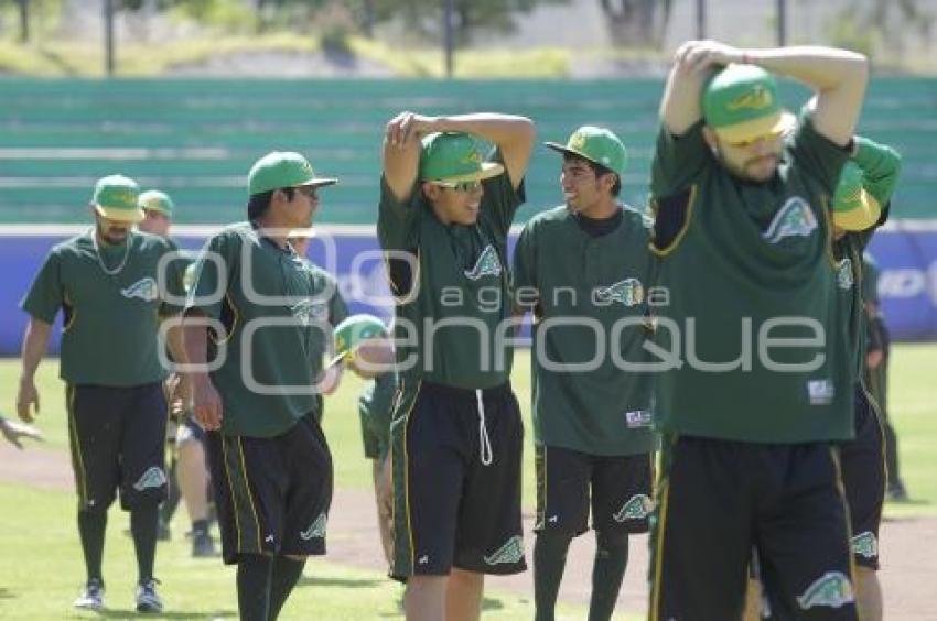 BEISBOL . PERICOS DE PUEBLA