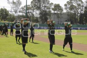 BEISBOL . PERICOS DE PUEBLA