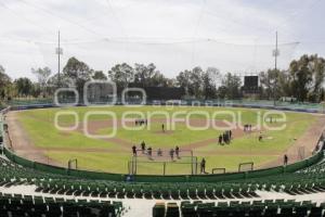 BEISBOL . PERICOS DE PUEBLA