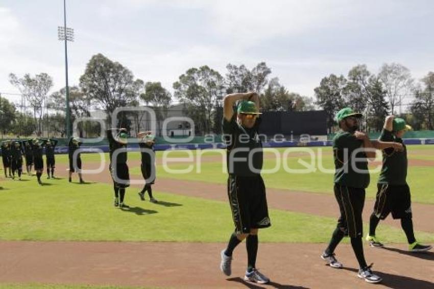 BEISBOL . PERICOS DE PUEBLA