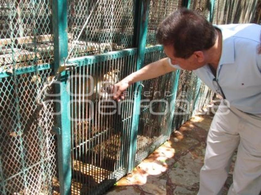 CLUB DE ANIMALITOS .TEHUACÁN