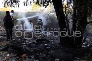 INCENDIO TERRENO BALDÍO