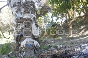 CONTAMINACIÓN RÍO ATOYAC