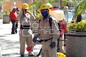 TEHUACÁN . JORNADA CONTRA DENGUE